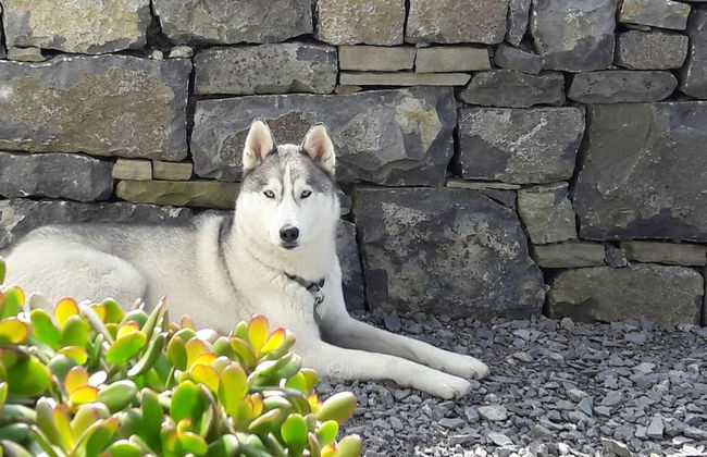 Cois na hAbhann B&B - Foto 22