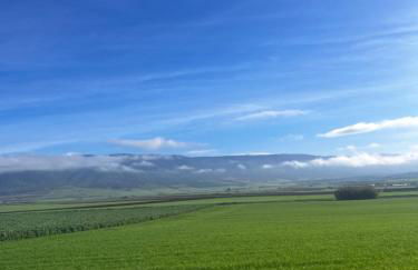 La Dimora del Grano - Foto 16