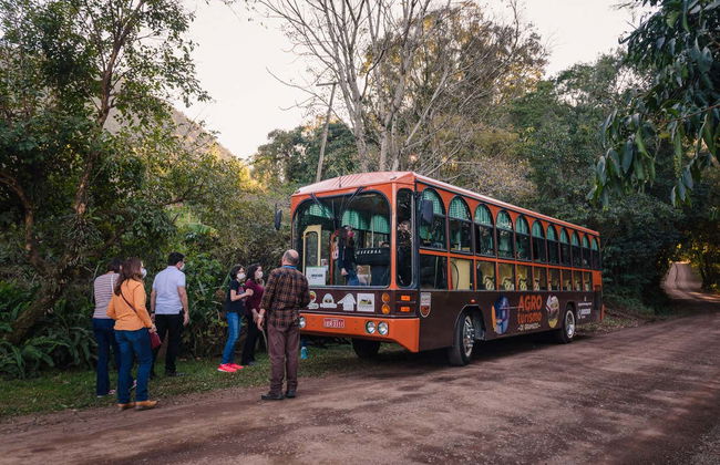 Tour por el Valle del Quilombo - Foto 8