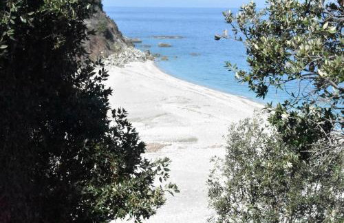 Ovrios Stone House Pelion - Foto 3