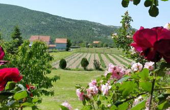 Holiday Home Anwesen Villa Almas- Sauna- Fitnessraum- Multisport by Interhome - Foto 3