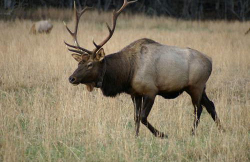 Brookside Cottages - Foto 51