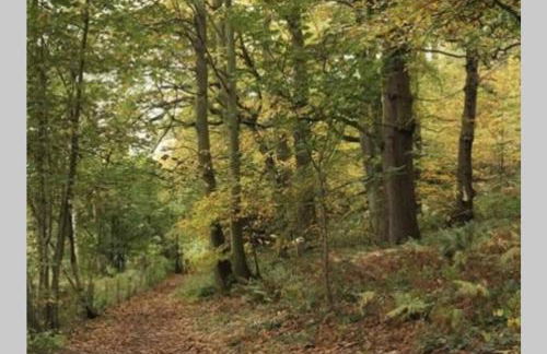 2 Beautiful Apartments in One House - Foto 43