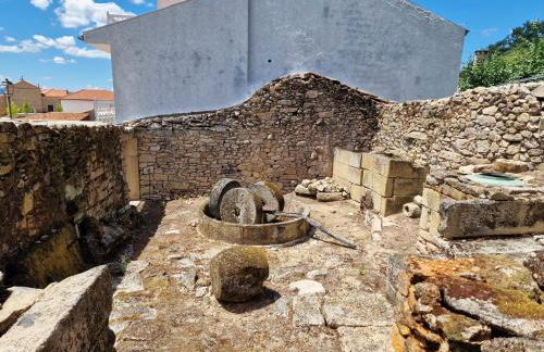 Main house Solar dos Condes da Azenha - Foto 62