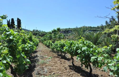 Egesta, villa with private pool - Foto 46
