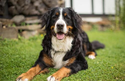 Ferienhof Bieke - Foto 7