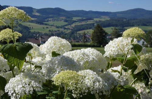 Ferienwohnung Neumann - Photo 17