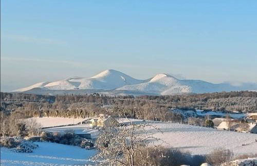 Pebble Creek Apartment - Foto 44