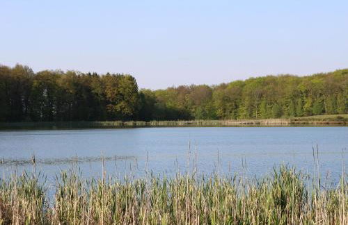 Haus am Wanderweg - Foto 11