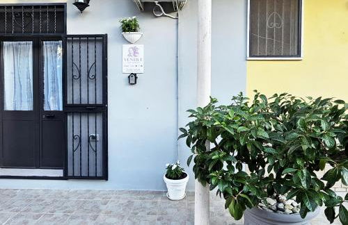 Casa Vacanze VENER - Venosa - Foto 24