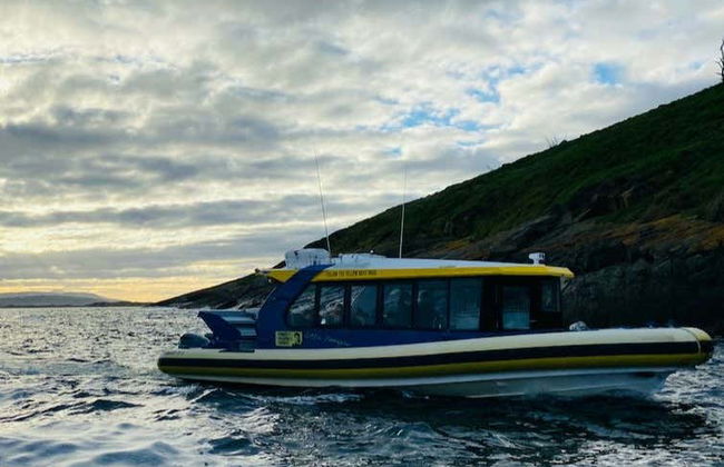 Balade en bateau sur la côte de Tasmanie - Photo 5