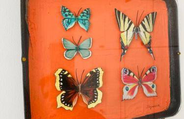 Portland View - Spacious & Comfortable - Foto 18