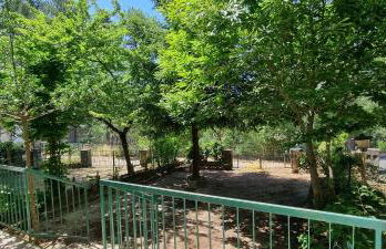 Casa in Sila - Villaggio Palumbo - Foto 24