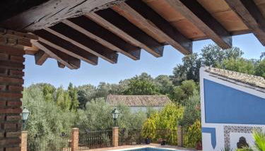 La Noguera de Baena - Foto 4