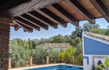 La Noguera de Baena - Foto 4