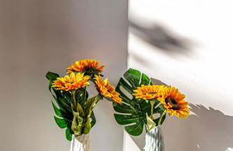 L'Aquila Home - Foto 25