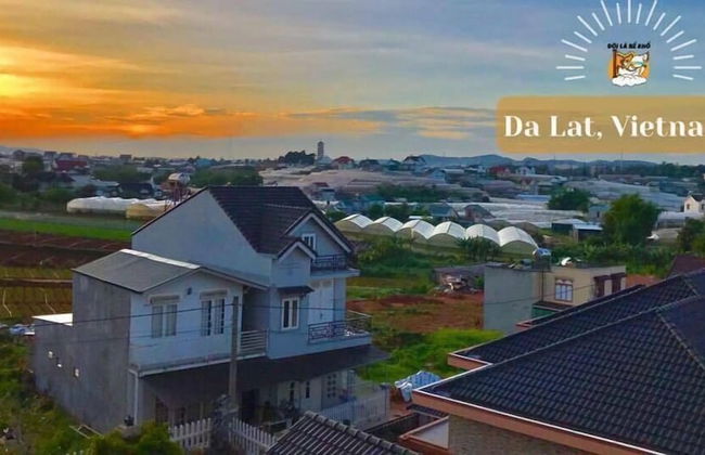 Anada Serviced Apartments In Dalat - Photo 31