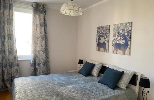 Apartman Colapis- Netflix, self check in, free parking, premium location! - Foto 30