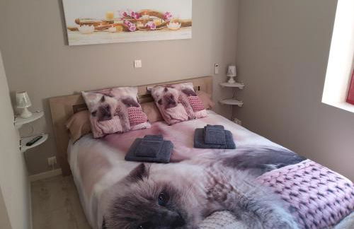 Entre fleuve et centre ville - Foto 19