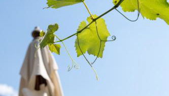 Casa Vacanze Zummer Frei Studio - Foto 5