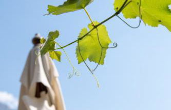 Casa Vacanze Zummer Frei Studio - Foto 5