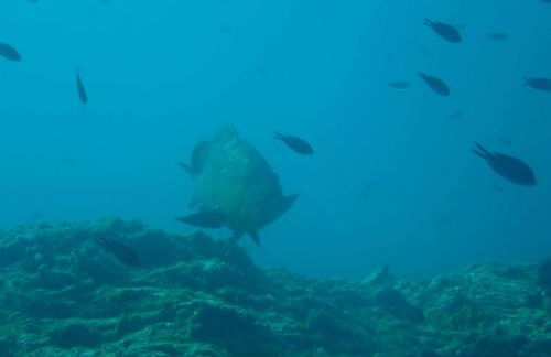 Appart 3 pièces 4 couchages BANYULS SUR MER BN440-001 - Foto 17