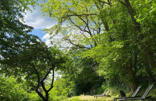 LA VILLA DES OISEAUX - La Petite Pierre - Foto 19