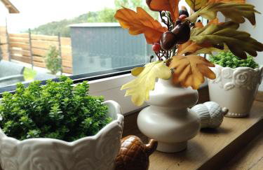 MICHAŁÓWKA - Domek w Górach przy Lesie - Energylandia - Foto 29