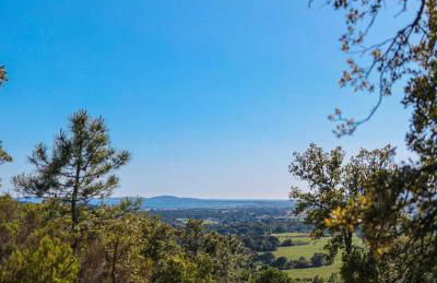 Charmant Studio - Foto 2