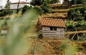 Casa das Nogueiras - Foto 56