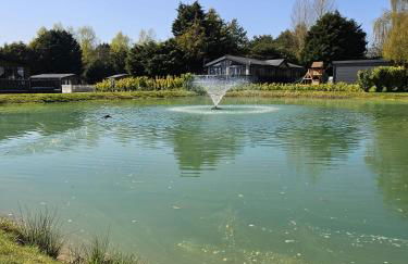 JJs Lodge Ebor - Foto 35