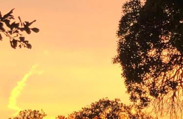 Perfect Country-Side Get-Away - Photo 30