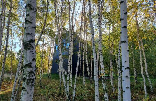 Drewniany dom w brzozowisku - Foto 10