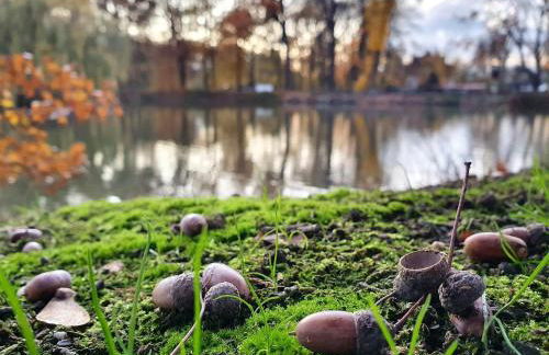 Wohnwagen am Rittergut Dornreichenbach - Foto 16
