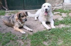 SO MAGIC - La casa nel bosco - Foto 71