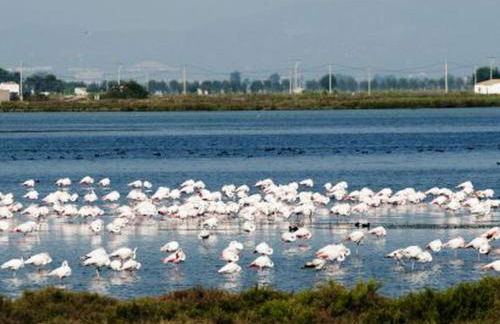 Casa Laurel - Foto 53