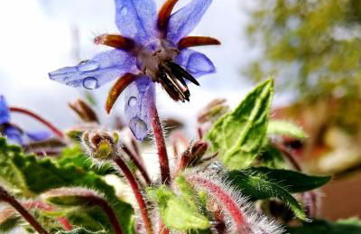 Odenwald Lounge im Naturpark Bergstraße-Odenwald - Photo 25