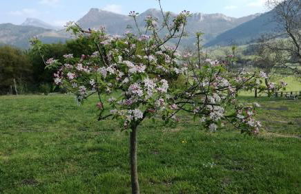 Casa Rural Urkulu Landetxea - Foto 37
