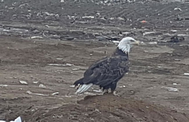 Executive Suites - Foto 76