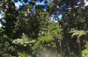 CASA GOLDONI GRAMADO 4 Quartos - Photo 47