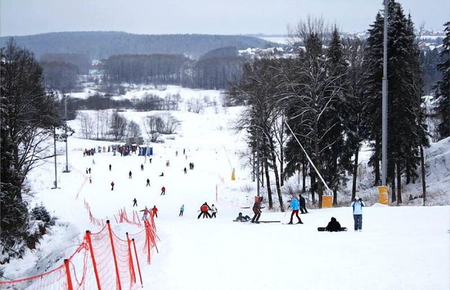 Cottage Hotel Stepanovo - Photo 29