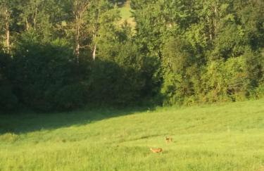 Maraśka Holiday House - Foto 39