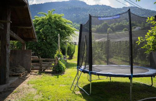 Tribus Lorenz - Wiesgut - Photo 19