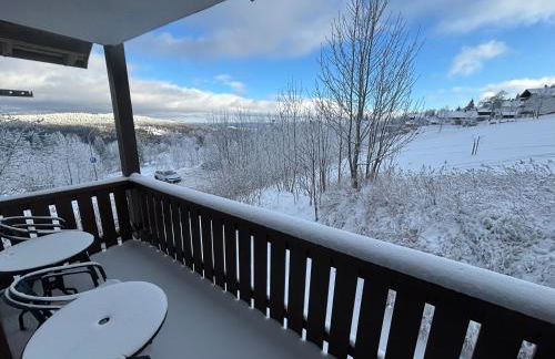 Aotearoa - Mountain apartment in Bavaria, Mitterdorf - Mitterfirmiansreut - Foto 18