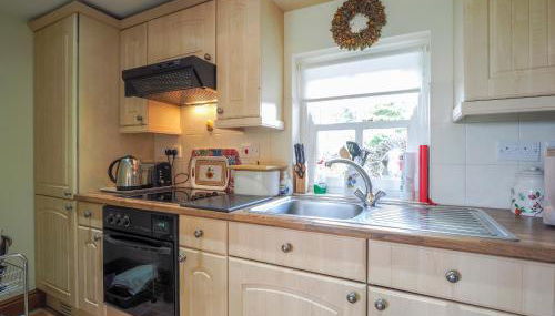 Nyth y Wennol Aberaeron - Foto 4, stove, toaster, Other