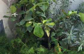 A casa da Anita - Foto 12