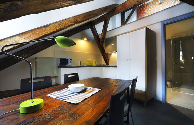 Apartments At The Blue Duckling - Photo 14