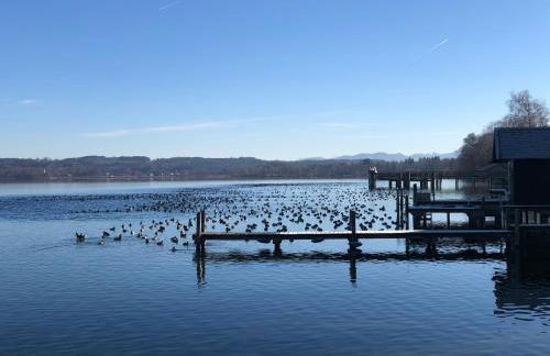 Ferienwohnung am Starnberger See - Foto 12