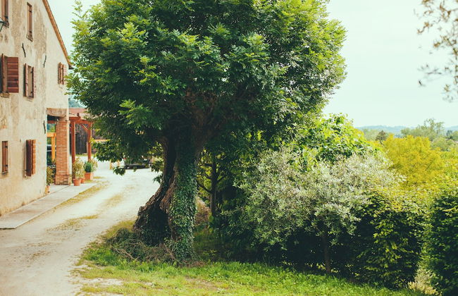 Asolo Norah's Hill Agri Rooms - Foto 124