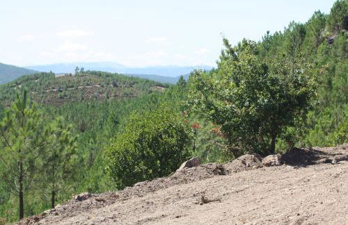 Retiro Da Arminda - Foto 65